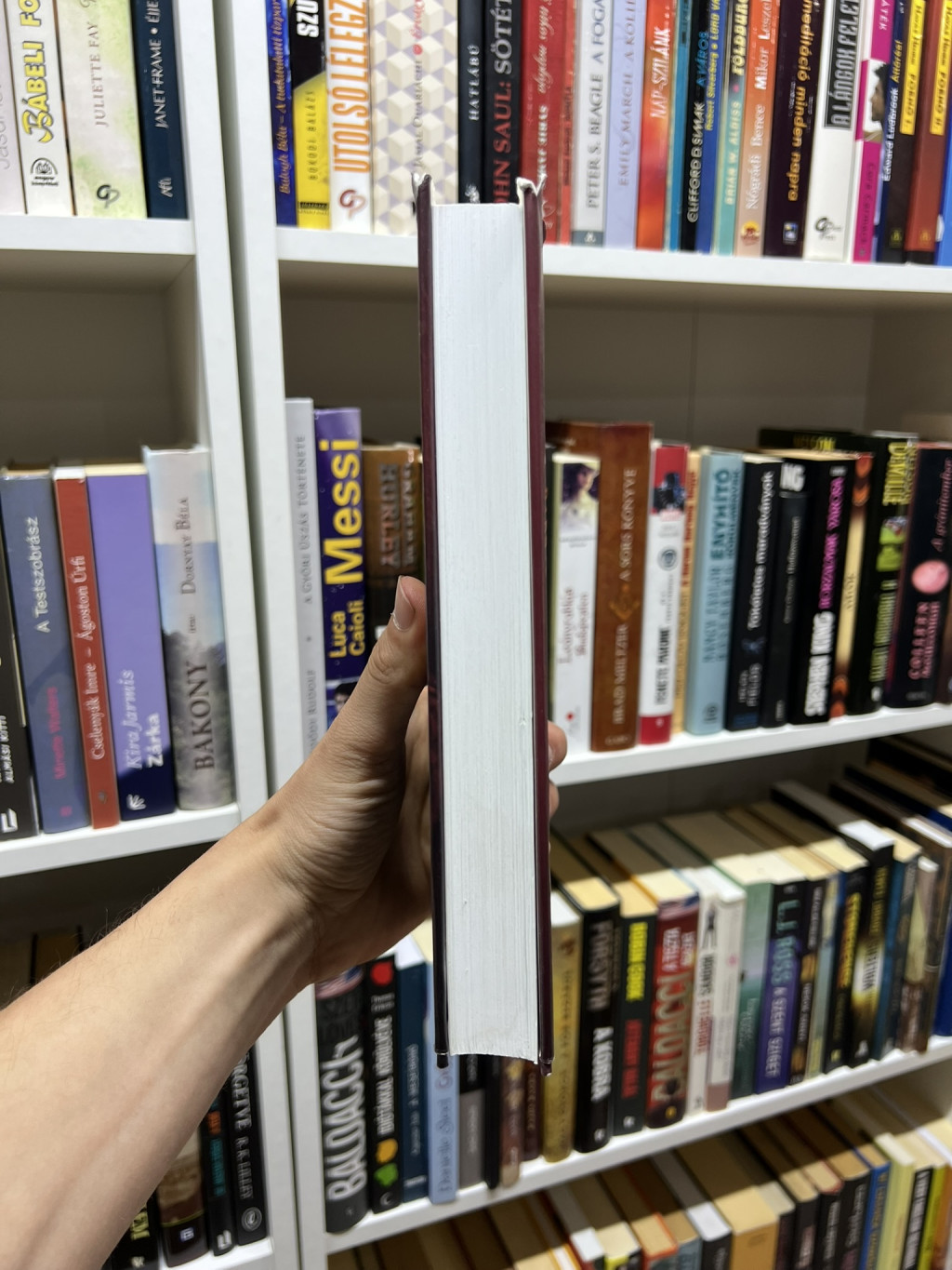 Book Image 4