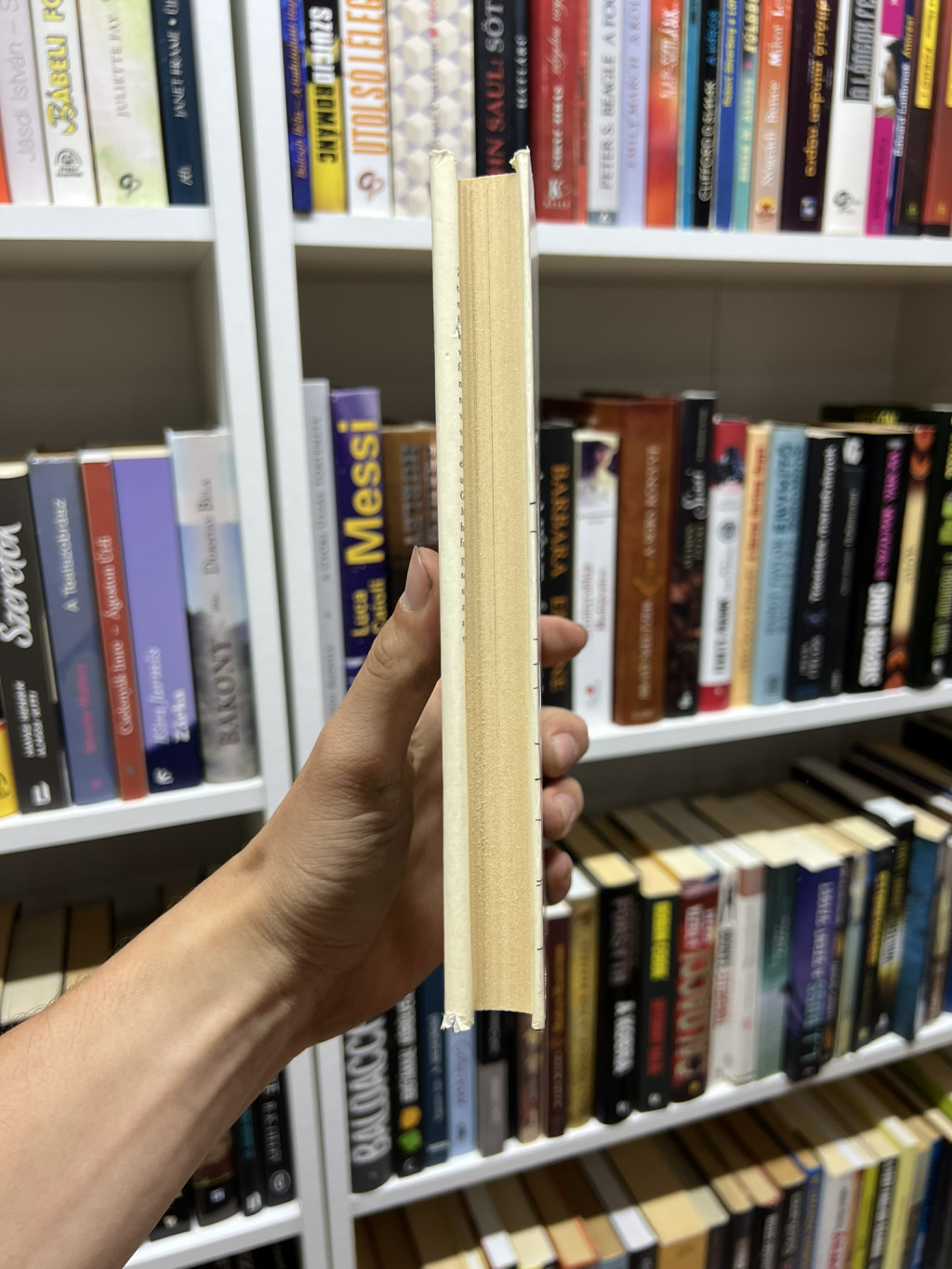 Book Image 4