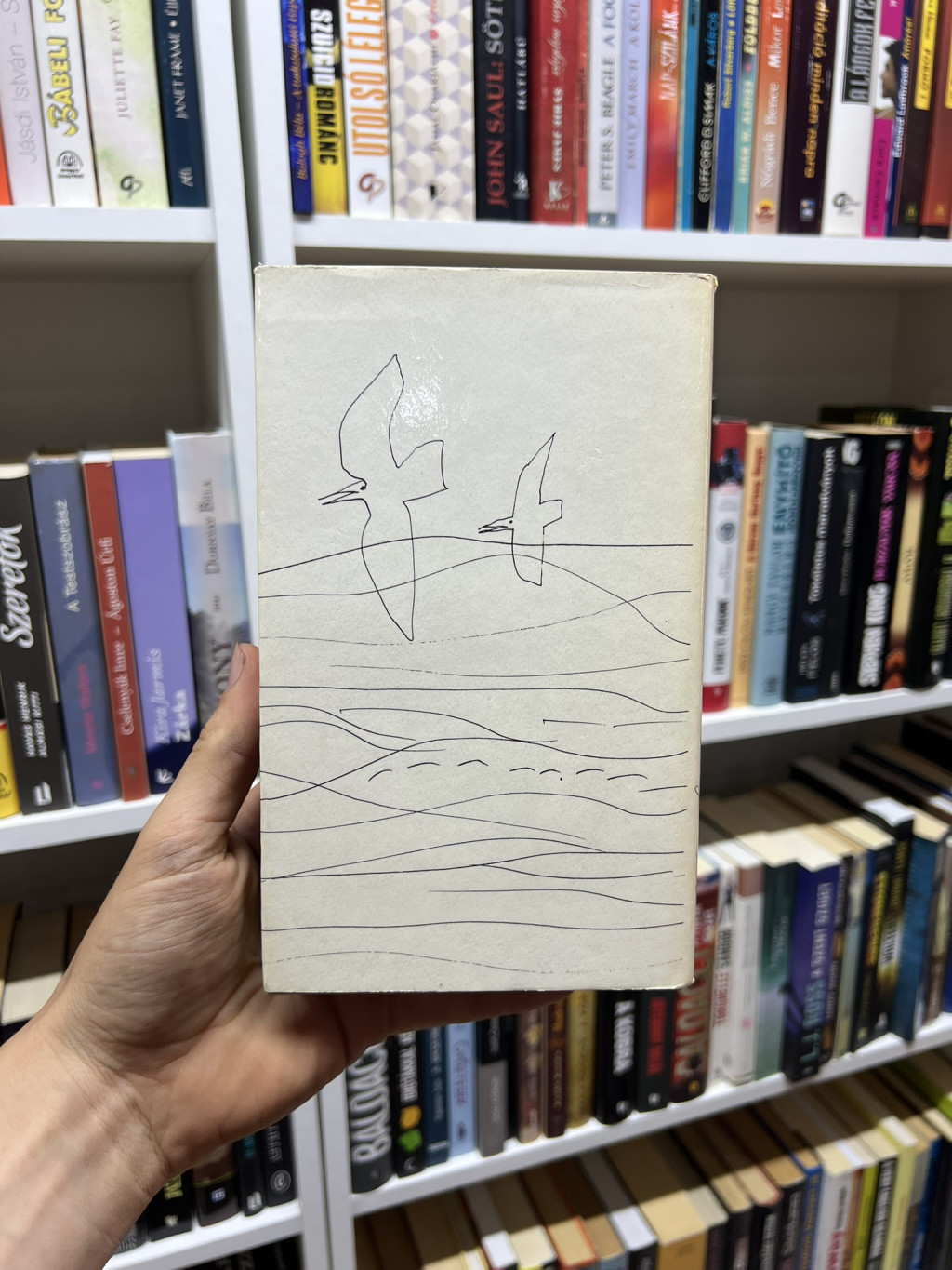 Book Image 5