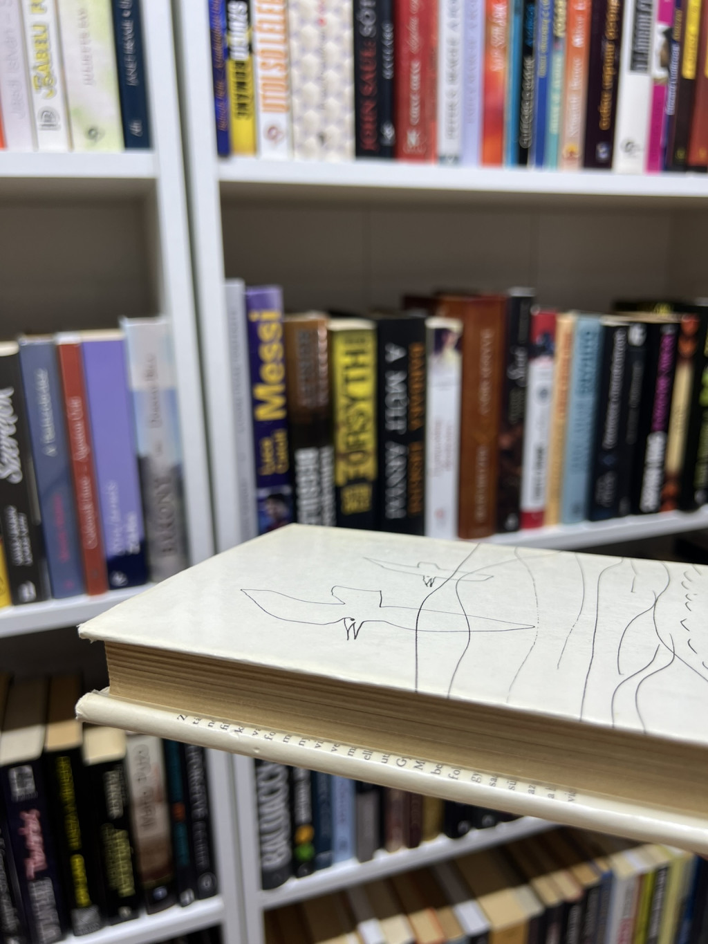 Book Image 6