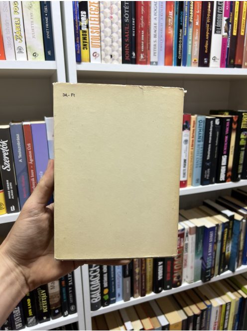 Mark Twain: Huckleberry Finn kalandjai 