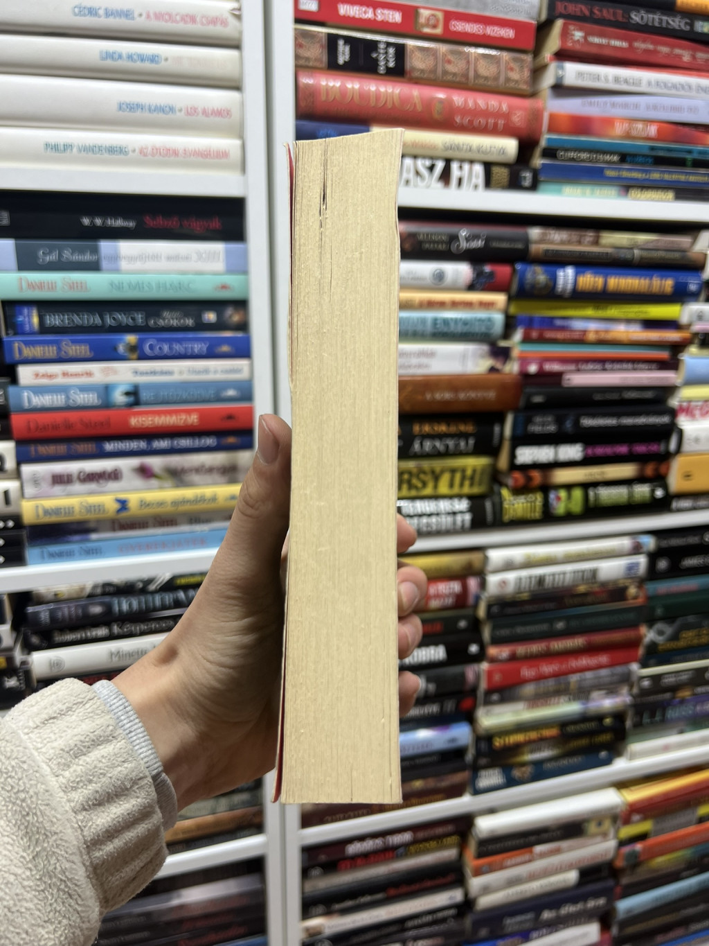 Book Image 4