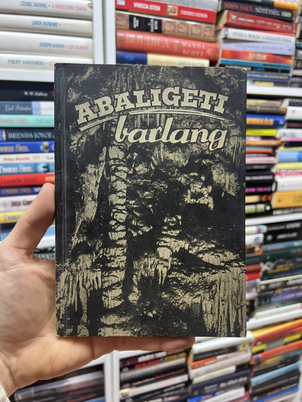 Book Image 1